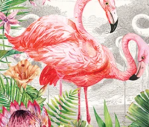 Flamingo Collection