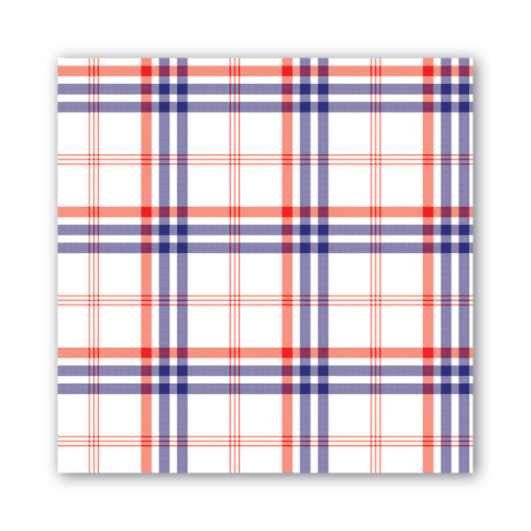 Michel Design Works Plaid Paper Napkins