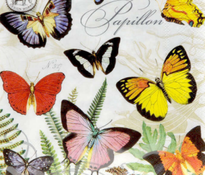 Papillon Collection