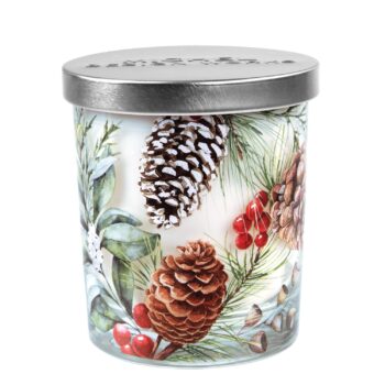 Michel Design Works White Spruce Jar Candle