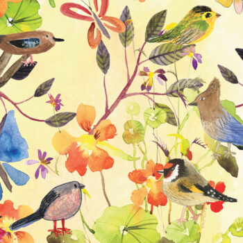 Birds & Butterflies Collection
