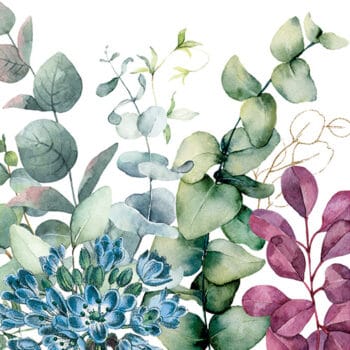 Eucalyptus & Mint Collection