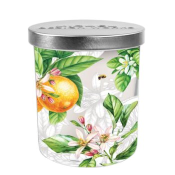 Michel Design Works L’Orange Jar Candle