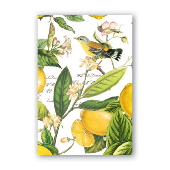 Michel Design Works Lemon Basil Cotton Napkins Set of 4