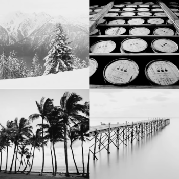 Photography Collection